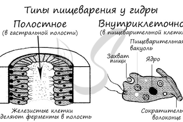 Kraken 13at вход