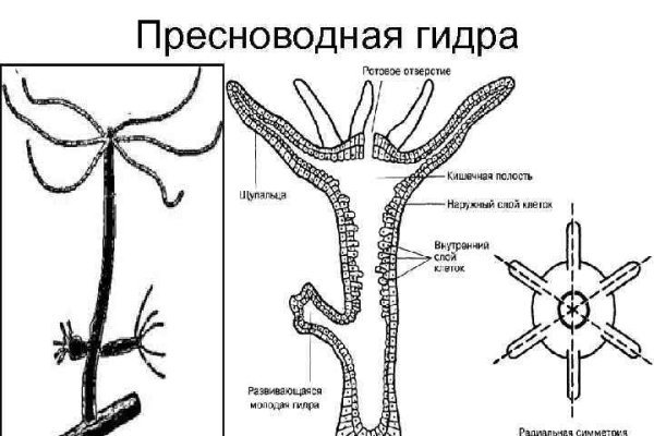 Кракен это современный маркетплейс