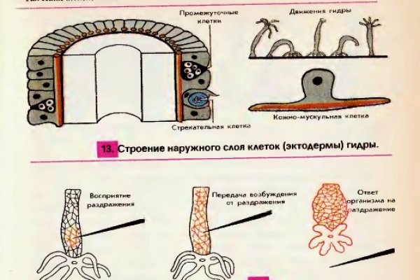 Ссылка кракен официальная тор